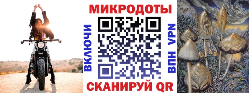 Псилоцибиновые грибы Psilocybine cubensis Ивантеевка