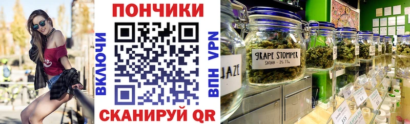 Бошки Шишки SATIVA & INDICA  продажа наркотиков  Ивантеевка 